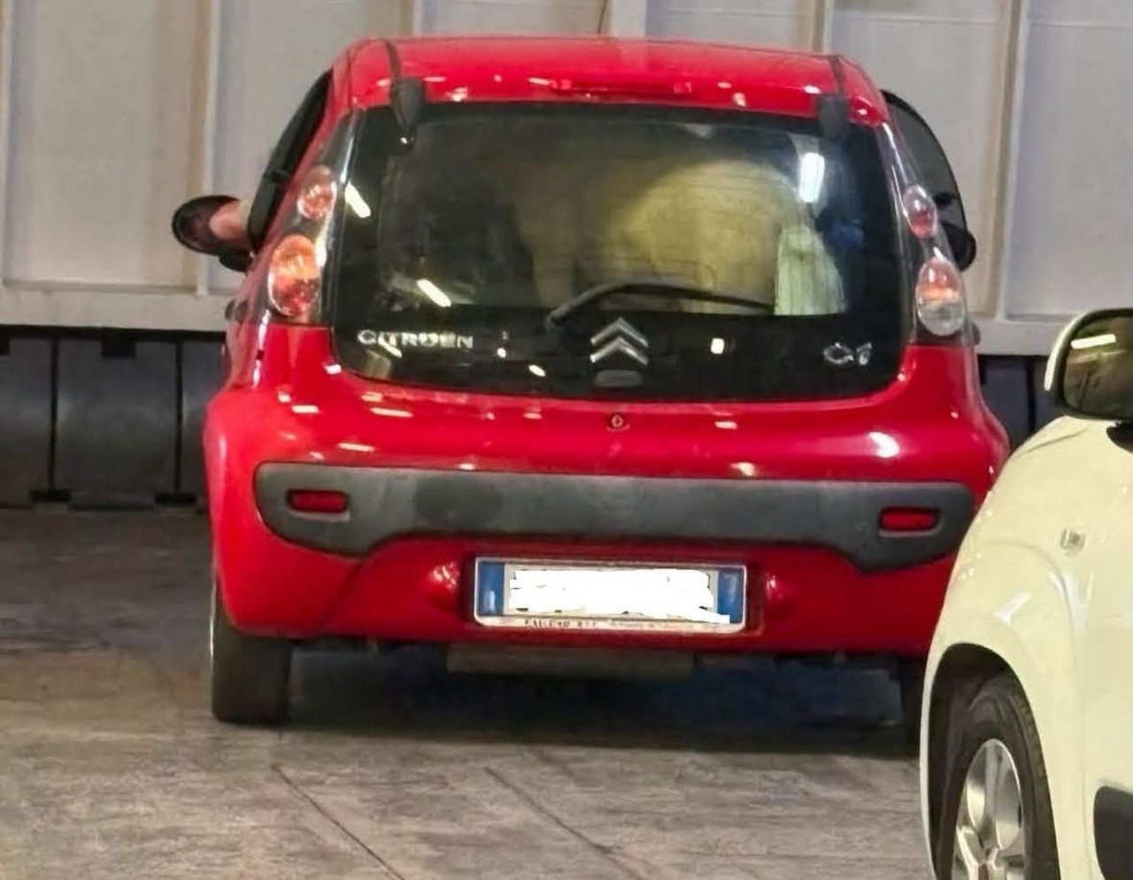 Ponija prevažal kar v Citroenu C1, potniki šokirani Ponija prevažal kar v Citroenu C1, potniki šokirani