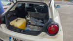 Rdeča strast ob Zbiljskem jezeru - fotografija 19